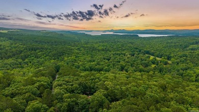 Nestled on 5 private wooded acres, this custom log home offers - photo 47