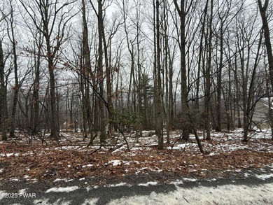 Lake Wallenpaupack Lot For Sale in Greentown Pennsylvania