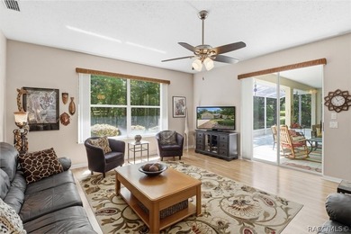 Welcome to this move-in ready home in Sugarmill Woods, where - photo 12