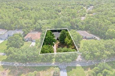 Welcome to this move-in ready home in Sugarmill Woods, where - photo 28