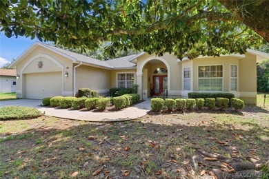Welcome to this move-in ready home in Sugarmill Woods, where - photo 29