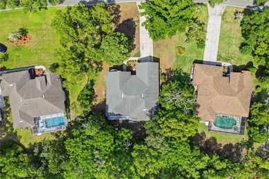 Welcome to this move-in ready home in Sugarmill Woods, where - photo 30
