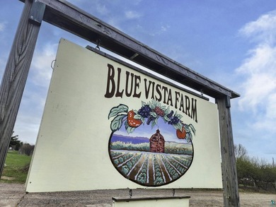 Blue Vista Farm, as this beloved property is known, presents an - photo 41