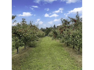 Blue Vista Farm, as this beloved property is known, presents an - photo 42