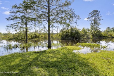 This waterfront on serene Bayou Castelle has a perfect set up - photo 6