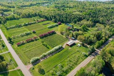 Blue Vista Farm, as this beloved property is known, presents an - photo 49