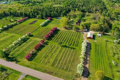 Blue Vista Farm, as this beloved property is known, presents an - photo 50