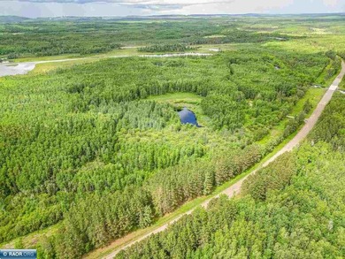 Rolling Iron Range acreage with serious development potential - photo 2