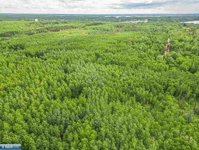 Rolling Iron Range acreage with serious development potential - photo 4