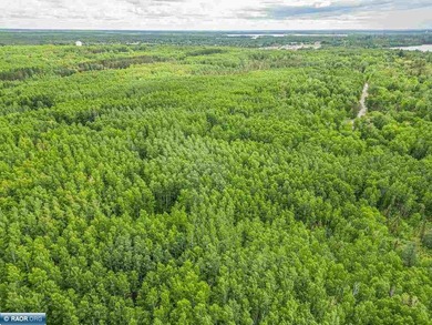 Rolling Iron Range acreage with serious development potential - photo 5