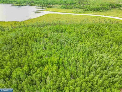 Rolling Iron Range acreage with serious development potential - photo 6