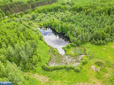 Rolling Iron Range acreage with serious development potential - photo 7