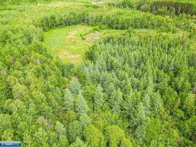 Rolling Iron Range acreage with serious development potential - photo 8