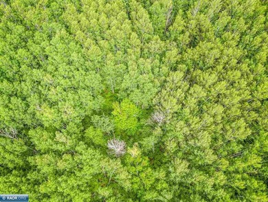 Rolling Iron Range acreage with serious development potential - photo 9