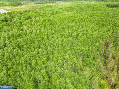 Rolling Iron Range acreage with serious development potential - photo 10