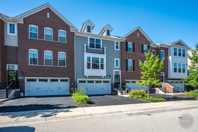 (private lake, pond, creek) Townhome/Townhouse Active Under Contract in Woodridge Illinois