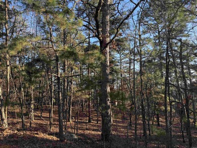 Lake Pinedo Lot For Sale in Hot Springs Village Arkansas