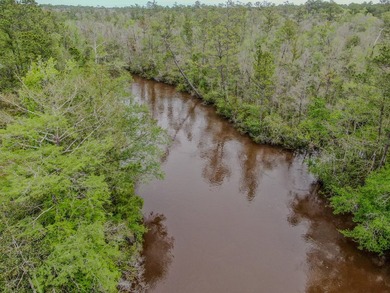 Discover your private waterfront sanctuary on serene Alaqua - photo 43
