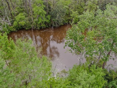 Discover your private waterfront sanctuary on serene Alaqua - photo 45