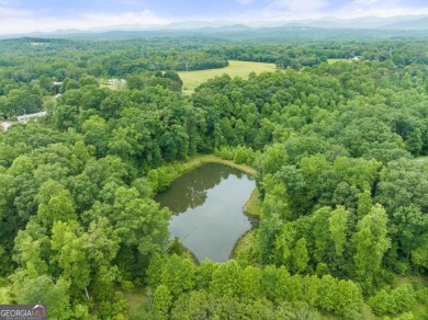 Jakes Lake Lot For Sale in Cleveland Georgia