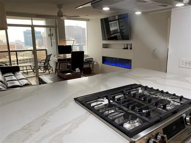 One of a kind downtown Tulsa cityscape view one-bedroom fully