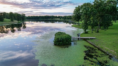 423+/- acre estate in Harrisburg, MO featuring a 27-acre stocked - photo 11