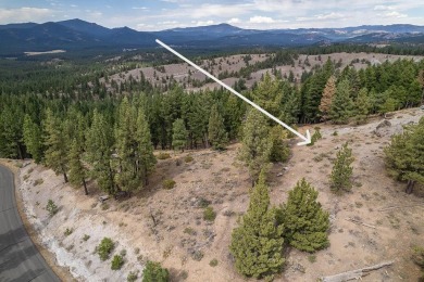 Lake Lot For Sale in Portola, California