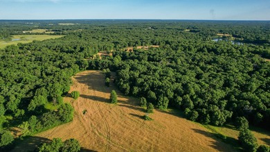 423+/- acre estate in Harrisburg, MO featuring a 27-acre stocked - photo 13