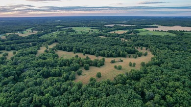423+/- acre estate in Harrisburg, MO featuring a 27-acre stocked - photo 14