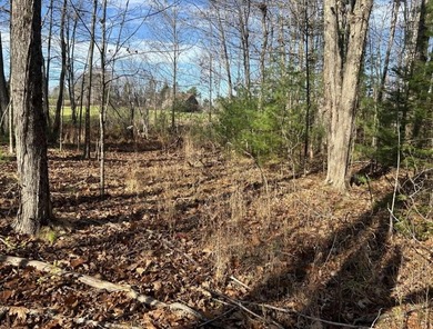 (private lake, pond, coastal) Acreage For Sale in Hollis Maine