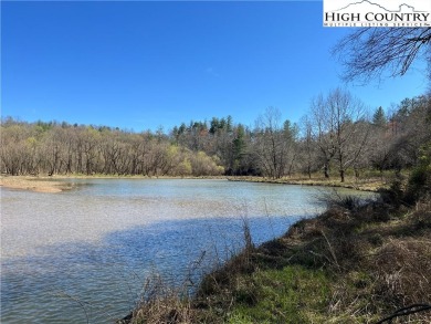 W Kerr Scott Lake Acreage For Sale in Boomer North Carolina