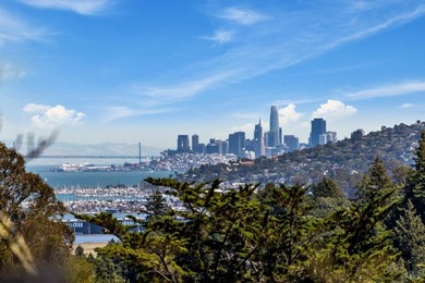 Situated in the sun-filled microclimate of Mill Valley's coveted - photo 4