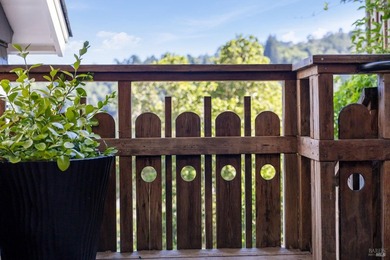 Situated in the sun-filled microclimate of Mill Valley's coveted - photo 7