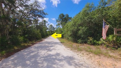 Reedy Lake Acreage For Sale in Frostproof Florida
