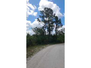 Blue Jordan Forest is a gated community in southeast Polk County - photo 8