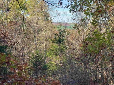Eagle Ridge Rd. Lots for sale with underground utilities already - photo 12