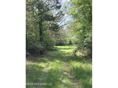 Discover the peace, privacy, and endless potential of this - photo 12