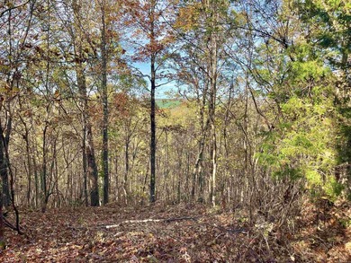 Eagle Ridge Rd. Lots for sale with underground utilities already - photo 13