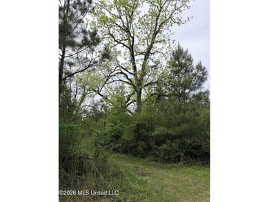 Discover the peace, privacy, and endless potential of this - photo 15