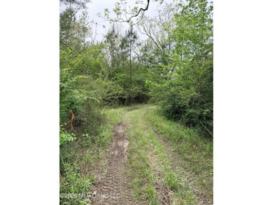 Discover the peace, privacy, and endless potential of this - photo 16