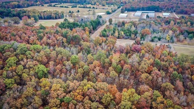 Eagle Ridge Rd. Lots for sale with underground utilities already - photo 17