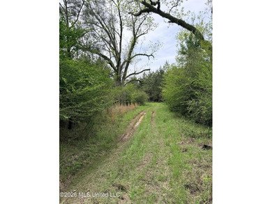 Discover the peace, privacy, and endless potential of this - photo 17