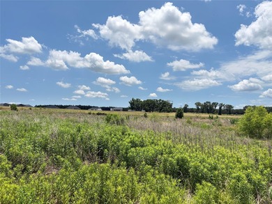 Huge development opportunity near Hwy 175! Whether you're - photo 17