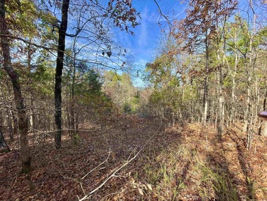 Eagle Ridge Rd. Lots for sale with underground utilities already - photo 18
