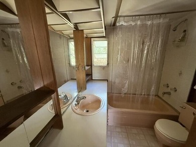 FOR SALE: Ultimate Wooded Lake Retreat Near Goose LakeEscape to - photo 19