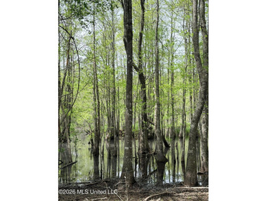 Discover the peace, privacy, and endless potential of this - photo 20