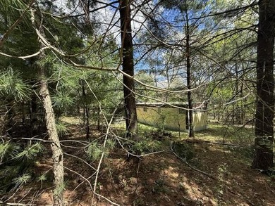 FOR SALE: Ultimate Wooded Lake Retreat Near Goose LakeEscape to - photo 21