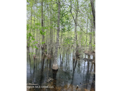 Discover the peace, privacy, and endless potential of this - photo 21