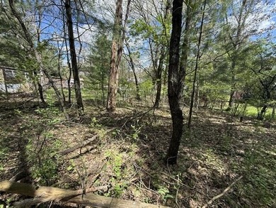 FOR SALE: Ultimate Wooded Lake Retreat Near Goose LakeEscape to - photo 22