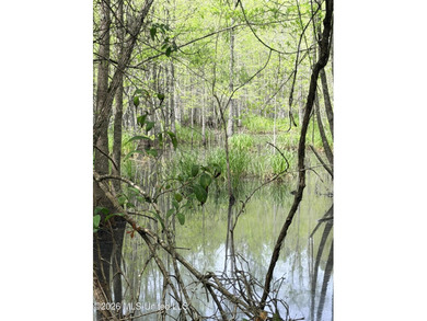 Discover the peace, privacy, and endless potential of this - photo 22
